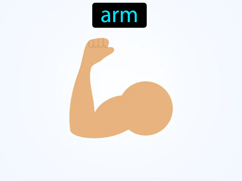 El Brazo Definition