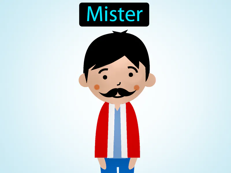 Senor Definition