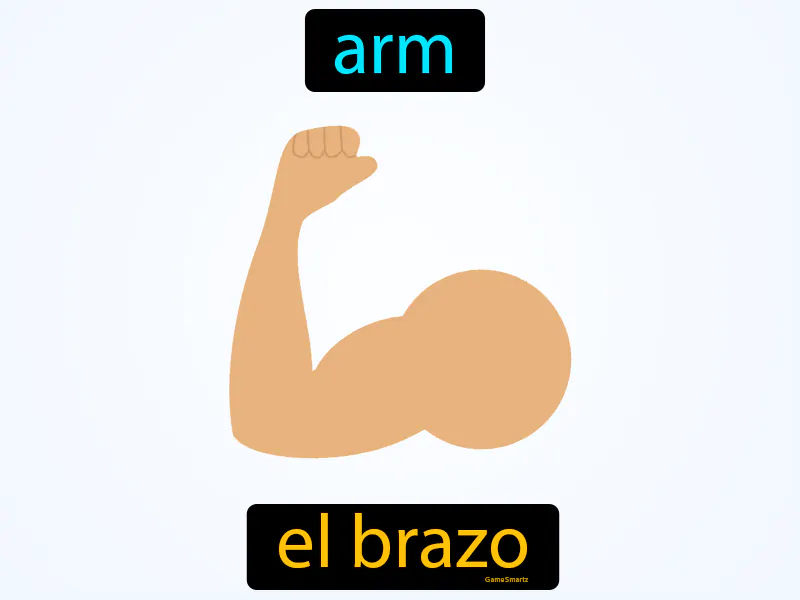 El Brazo Definition