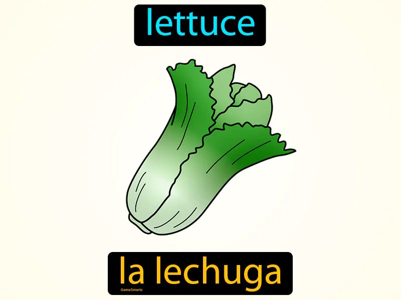 La Lechuga Definition La Lechuga Definition
